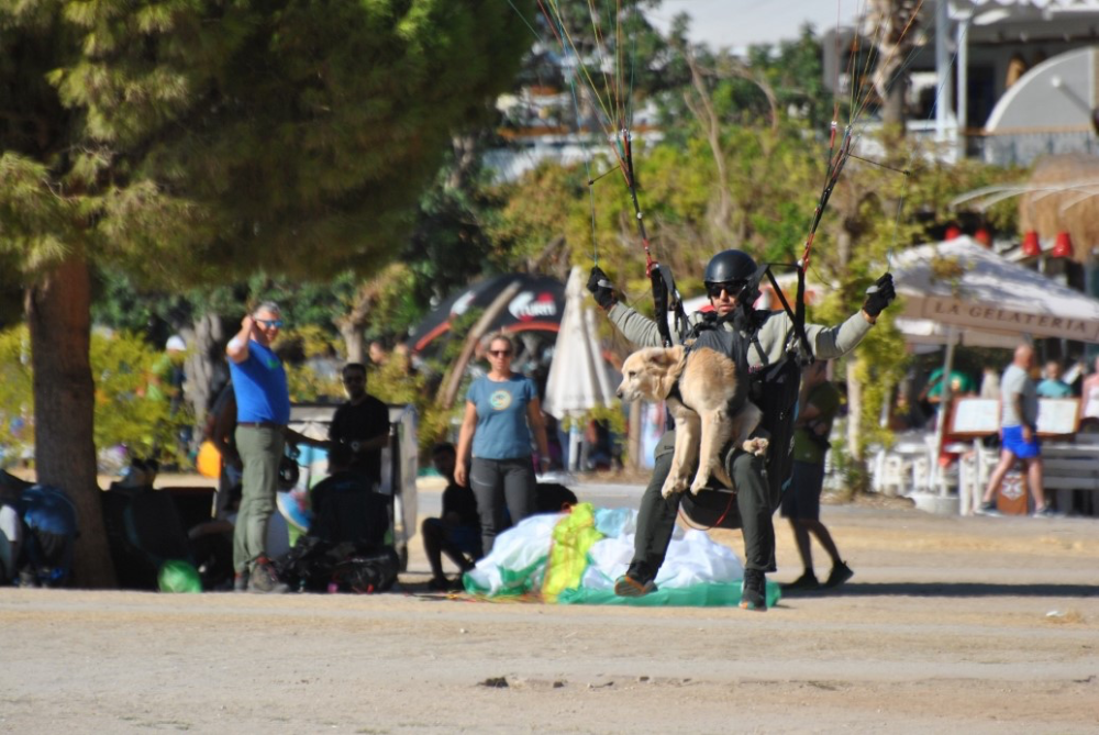 Köpeğiyle birlikte bin 700 metreden atladı