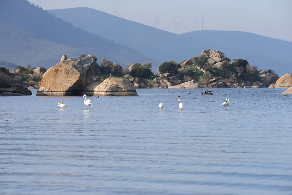 Muğla ve çevresindeki yağış bereketi Bafa Gölü