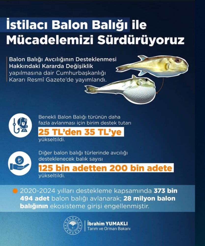 Balon Balığıyla Mücadele Güçleniyor: Destek Tutarları Artırıldı