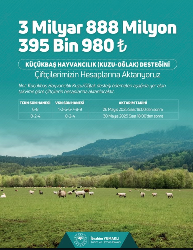 Küçükbaş Hayvancılığa 3,8 Milyar TL Destek Ödemesi Başladı