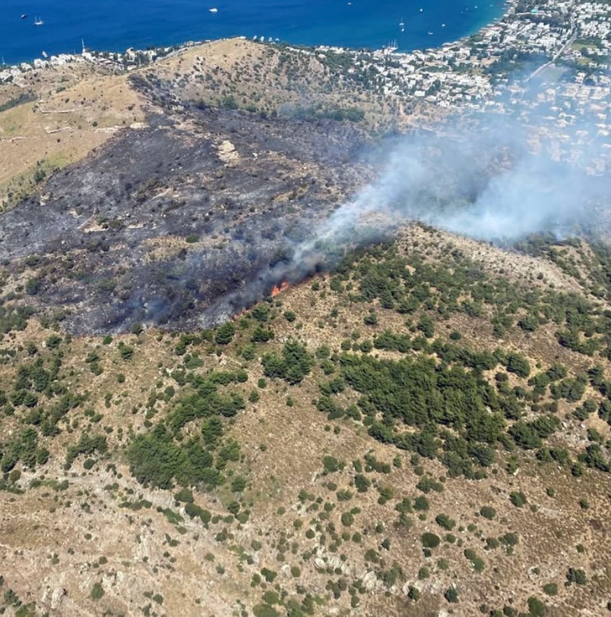 Bodrum’da Orman Yangını: Bir Şüpheli Gözaltına Alındı