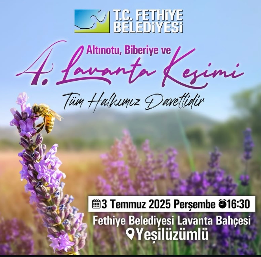 Fethiye’de Lavanta Hasadı Başladı!